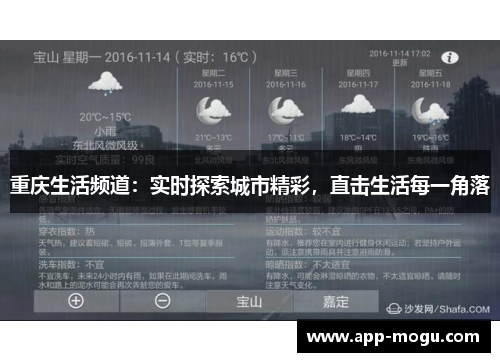 重庆生活频道：实时探索城市精彩，直击生活每一角落